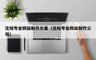 福州沈阳专业网站制作方案（沈阳专业网站制作公司）
